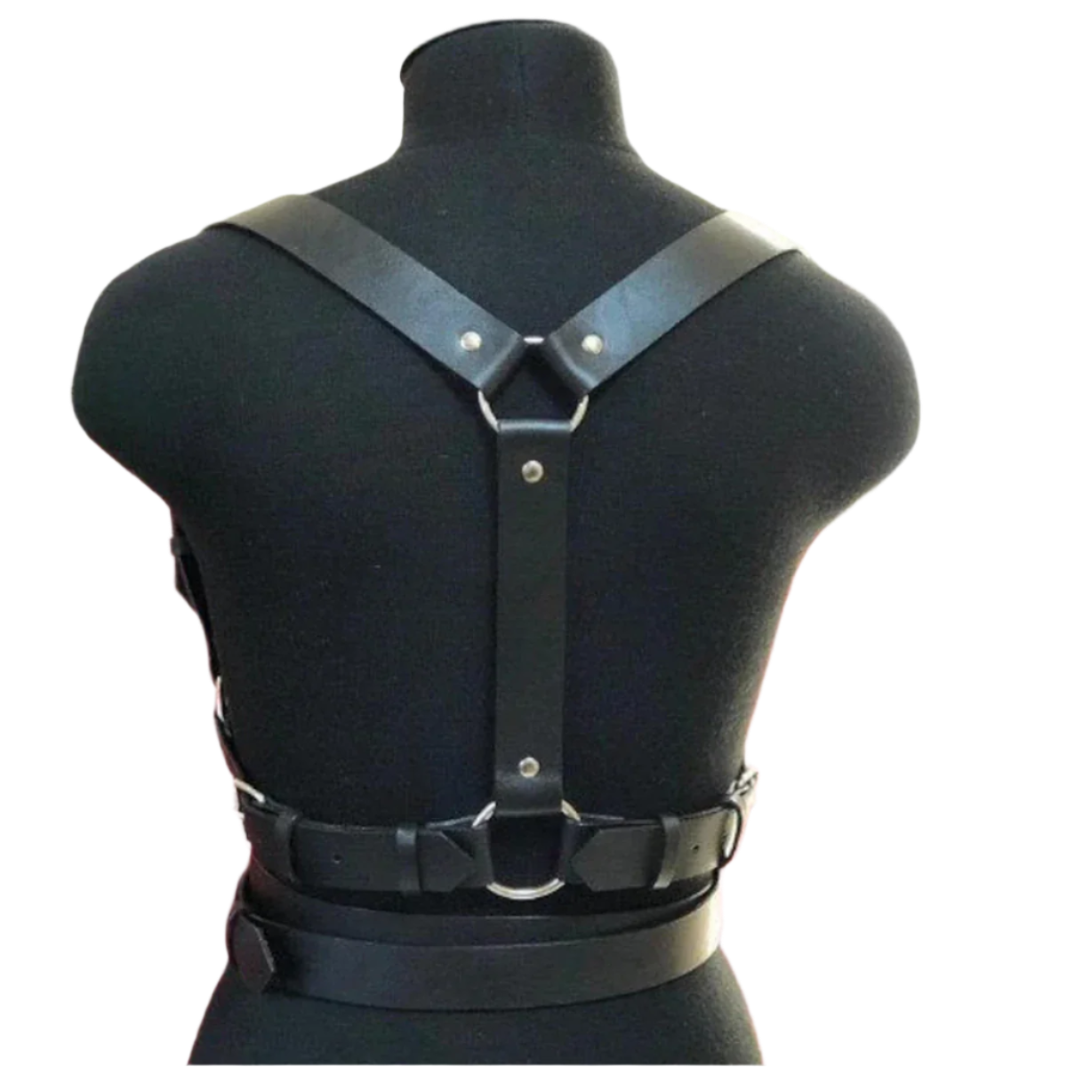 Luxury Adjustable Bondage Waistband System